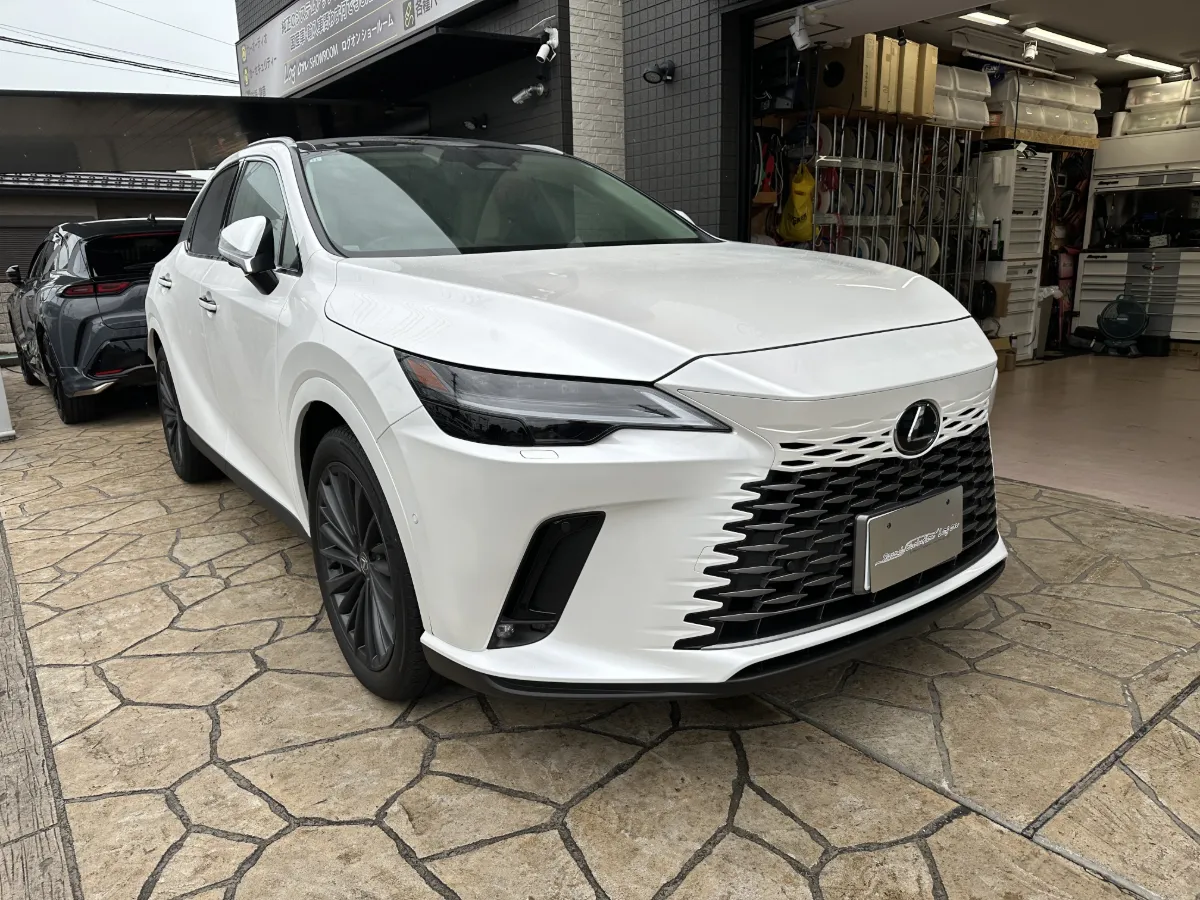 今天我们来介绍一下LEXUS RX ALA/ALH1#的汽车安全安装。
