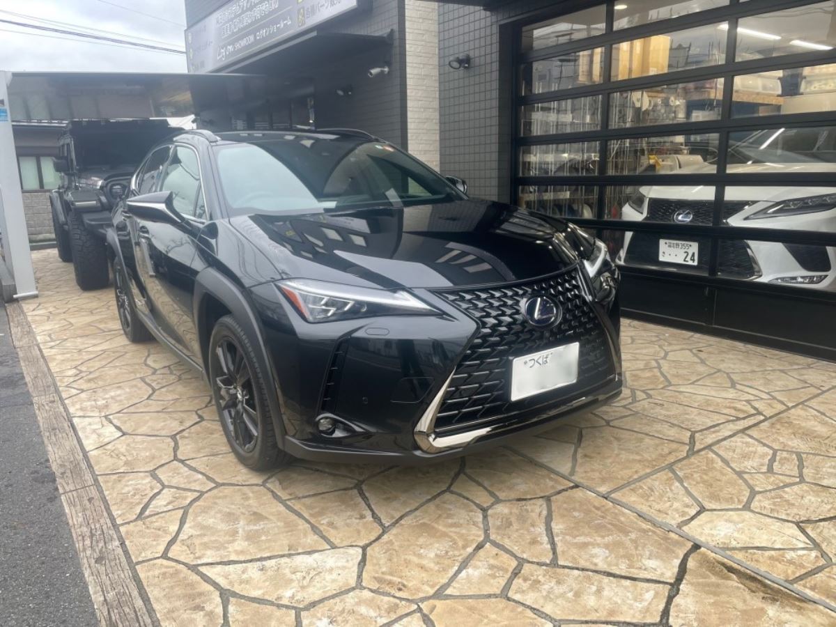 LEXUS UX MZAH1#/MZAA1#